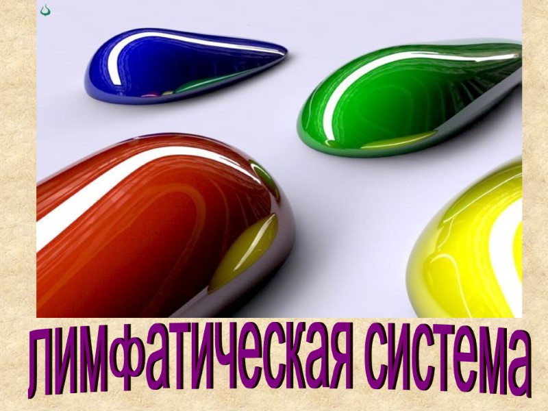 лимфатическая система